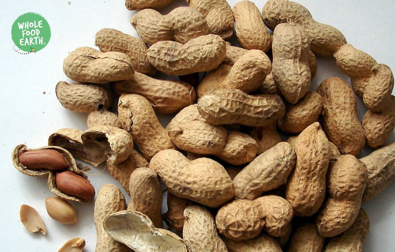 Wholefood Earth: Roasted Peanuts in Shell (Monkey Nuts) | GMO Free | Vegan | Dairy Free | No Added Sugar - Wholefood Earth® - 5056351406454